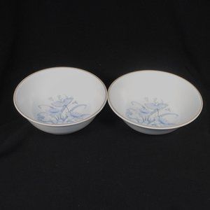 2 Royal Doulton Lambethware Inspiration LS1016 cereal bowls